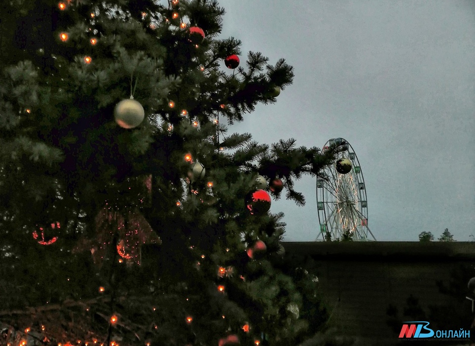 В Волгограде 24 декабря зажгли огни на главной новогодней ёлке города